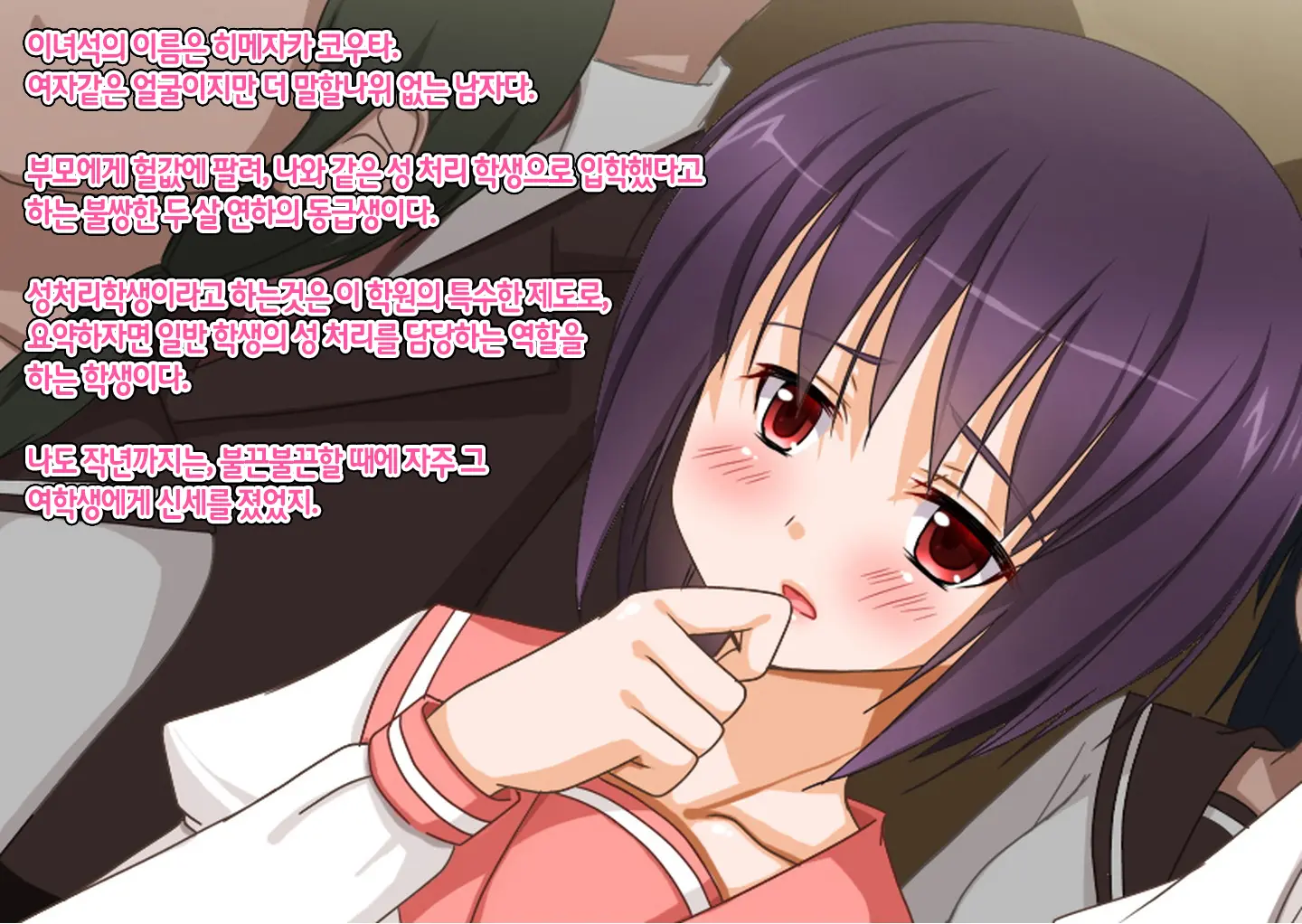 Josou Maso Rakudai Shounen Saikyouiku Nikki